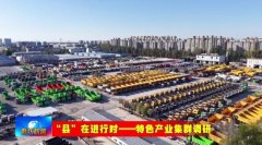 5亩地、4万多平方米